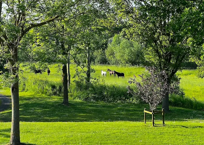 Strandliebe Bei Laboe
